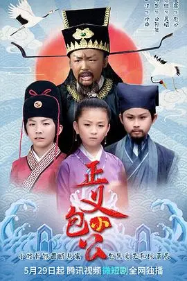 正义小包公 海报