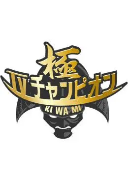 电视冠军之极 海报