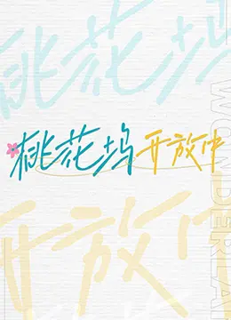 桃花坞开放中 海报